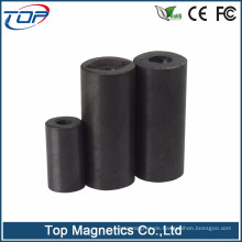 Pumpe Ferrite Magnet Rotor